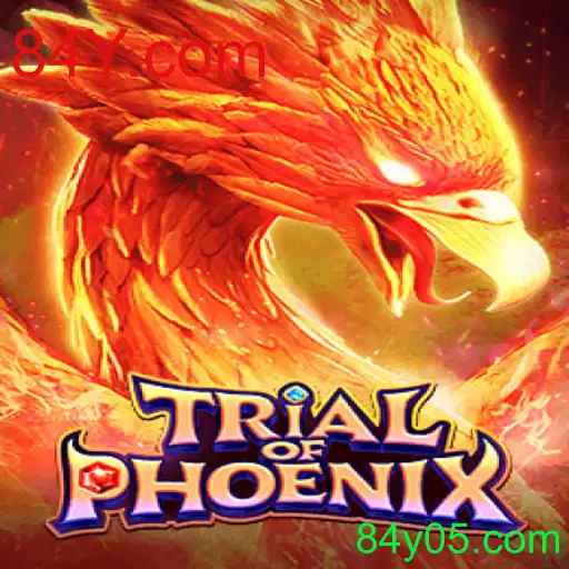 Explorando o Mundo de TrialofPhoenix: Um Guia para Novos Jogadores